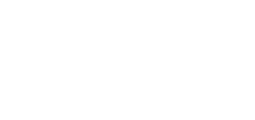 Safir logo